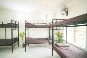 Aare waterfalls homestay