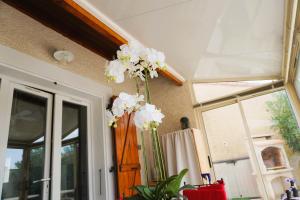 Le Lagon Clim Parking 4Pers