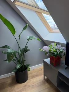 Apartament Fyrtel