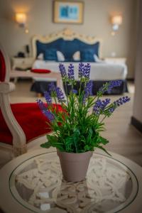 Hotels Alexain Hotel Restaurant & Wellness - Colmar Ouest : photos des chambres
