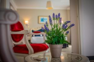 Hotels Alexain Hotel Restaurant & Wellness - Colmar Ouest : photos des chambres