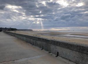 Appartements L-Horizon Bleu, front de mer, jardin, parking, wifi : photos des chambres