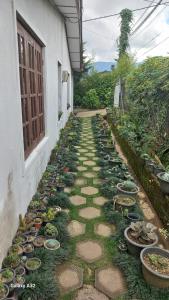 Foliage villa