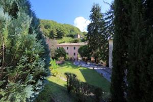 Il Gallo d Oro - Pulcino