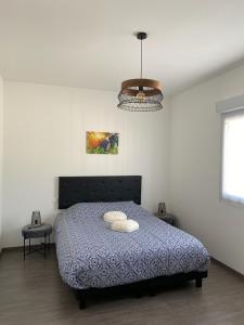 Maisons de vacances Les 3 Cepages - Gite : photos des chambres