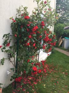 Maisons de vacances Pavillon familial avec grand jardin : photos des chambres