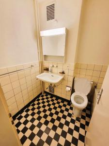Huge Charming City Center Apartments with Balcony & Garden View RIGI