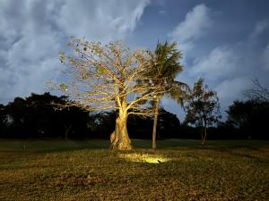 Van Vliet Villa, 4 bedroom at Vipingo Ridge Golf Resort Kenya