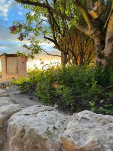 Au Détour des Châteaux