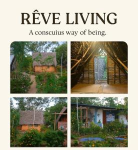 Reve living