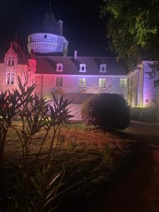 Maisons d'hotes Chateau de Bouesse en Berry : photos des chambres