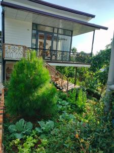 Homestay hichi bảo Lộc