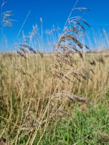 null Haus FW7, Whg FW7 39