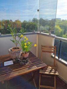 null Haus FW7, Whg FW7 39