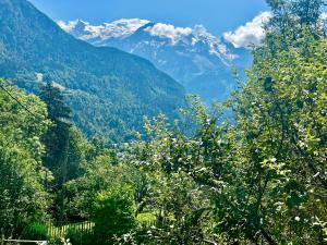 Appartements Cosy alpine flat with great views of Mont Blanc : photos des chambres