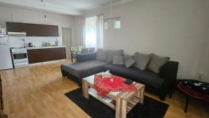 Flat is located in the city center