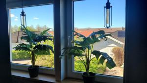 Cozy studio close to town and nature