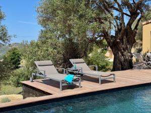B&B / Chambres d'hotes Sognu di Sole : photos des chambres