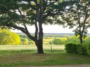 Campings Chalet 4 etoiles - Piscine - ccafdif : photos des chambres