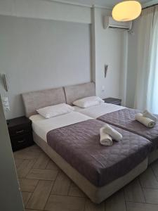 Standard Double or Twin Room with Balcony room in Palmyra Hotel