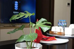 A Quiet Stay - Bonded