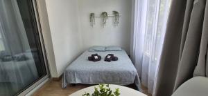 Appartement de 50 m2 cosy et moderne à 100 m de la plage