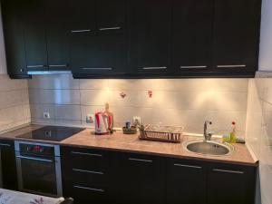 Belgrade Cozy Apartment - City center