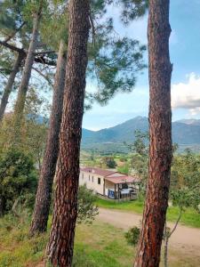 Chalets Chalet 3 etoiles - Piscine - ccb0fdc : photos des chambres