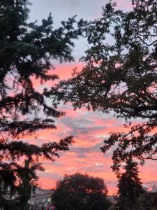 Belgrade Square 3 Apartment