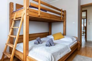 TatryTop Apartament Jesion