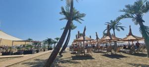 Residence Sole 8 by Wave - Apartament luxury 60mp cu terasa si vedere la mare, acces direct pe plaja OhiOhi Beach- Mamaia Nord - Restaurant, Parcare gratuita