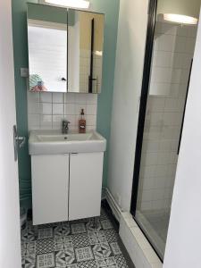Appartements Studio Lumineux a 2 pas de la Rue de la Mer : photos des chambres