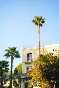 Hotels Hotel 