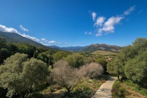 Votre havre de paix à Patrimonio