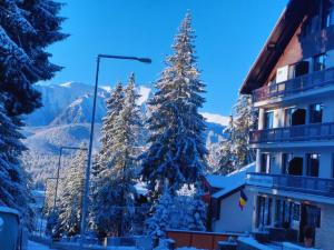 Vero Residence Predeal