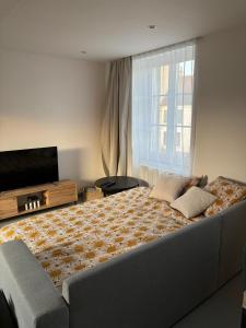 Appartement neuf CDG, Asterix, Chantilly, Mer de Sable