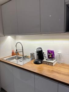 Appartement neuf CDG, Asterix, Chantilly, Mer de Sable