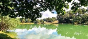 Campings Chalet 3 etoiles - Piscine - ccafgfe : photos des chambres