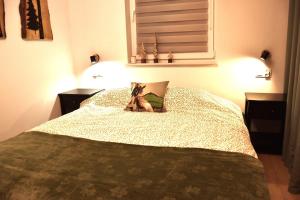 Apartament Szałwiowa Dolina