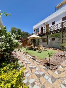 Tree House Hotel Dahab