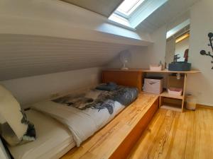 Appartements Joli duplex refait a neuf, face gare, pres Ermitage : photos des chambres