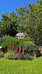 La Maison Lourégo Myosotis