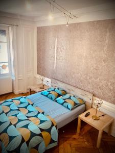 9D Centre ville de Lyon et visite à pied