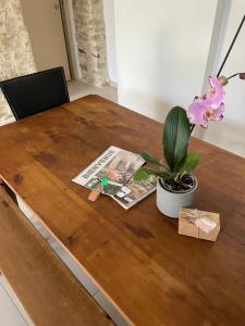 Maisons de vacances Gite La Longere : photos des chambres