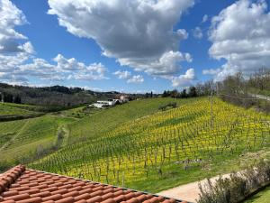 Podere Baratta agriturismo e cantina