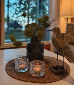 Villa Dyyni - Oulujärvi Manamansalo