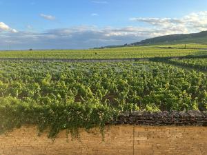 Hotels Hotel Les Reveries du CLOS derriere St Jean Vignes &Spa Adult Only : Suite Deluxe