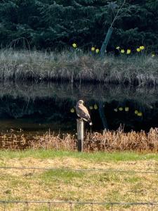 Willowbarn Rafford Self Catering