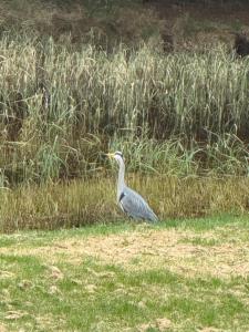 Willowbarn Rafford Self Catering