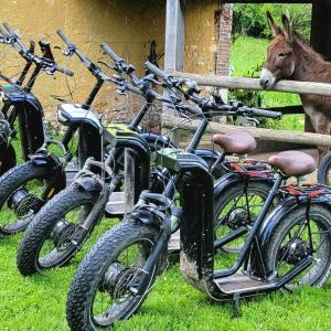 Hameau des Galottières-Perche, immersion nature